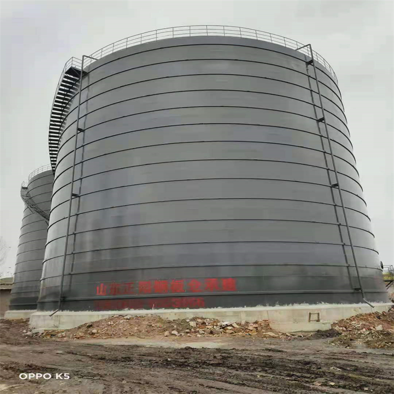 荣县3万吨大型钢板库